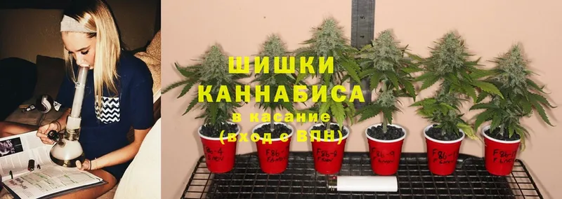 ссылка на мегу   Лангепас  Бошки марихуана White Widow 